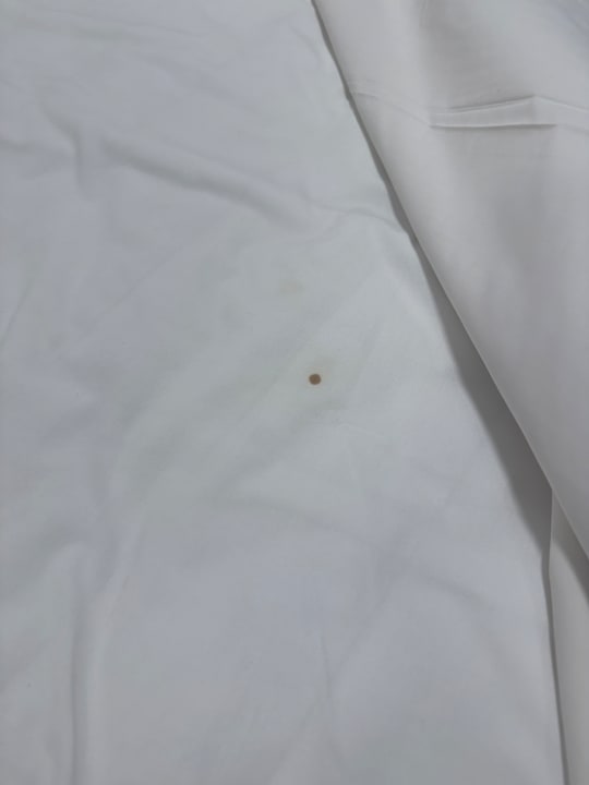 Zimmer Hotel Viva Dominicus Palace by Wyndham-All Inclusive Resort