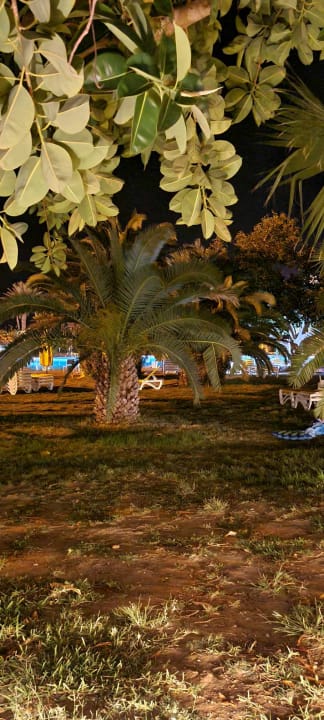 Gartenanlage Mahdia Beach & Aquapark