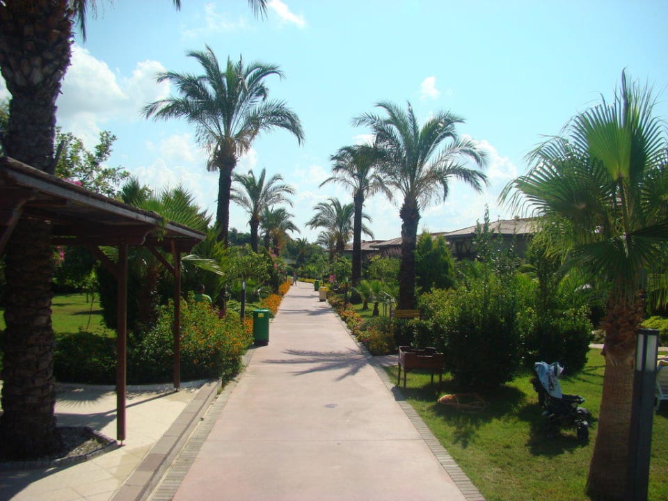 Główna droga w ogrodzie TUI KIDS CLUB Felicia Village