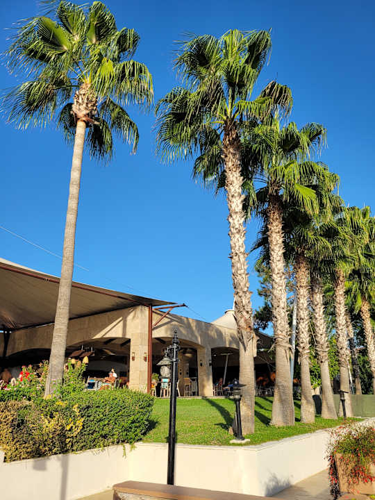 Gastro Kamelya Fulya Hotel