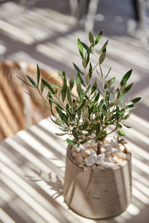 Sonstiges Summer Senses Luxury Resort