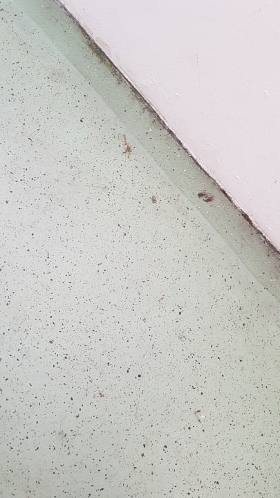 Sonstiges Ferienwohnungen Ferienpark Weissenhäuser Strand