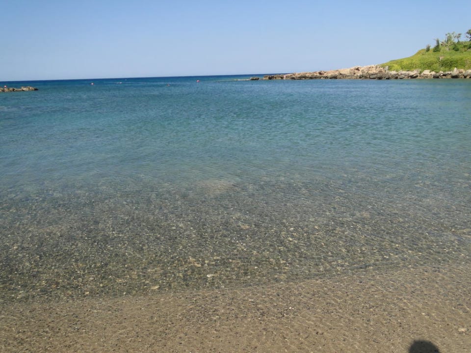 Crystal Springs Beach Hotel Crystal Springs Beach Hotel