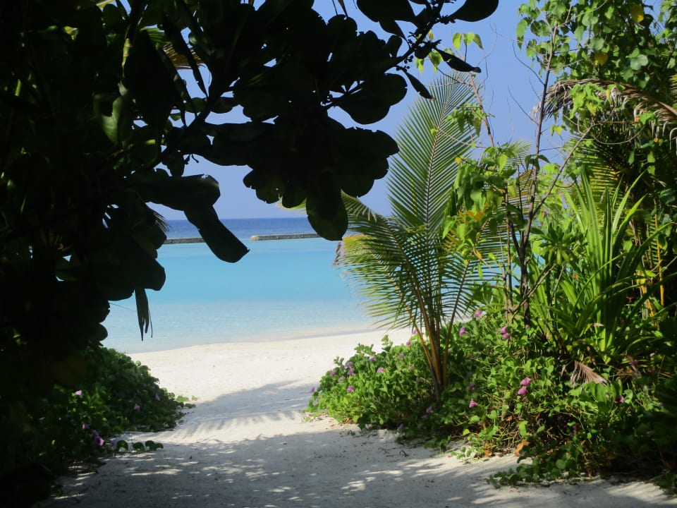 Ausblick Kuramathi Maldives
