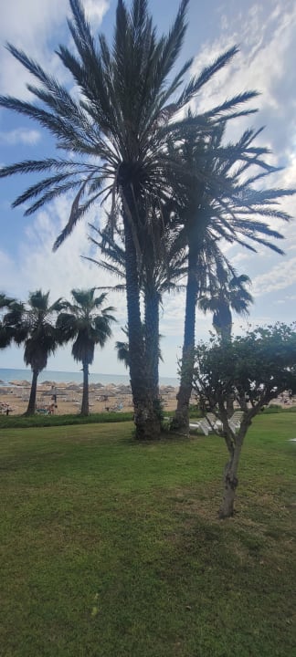 Gartenanlage Hotel Defne Garden