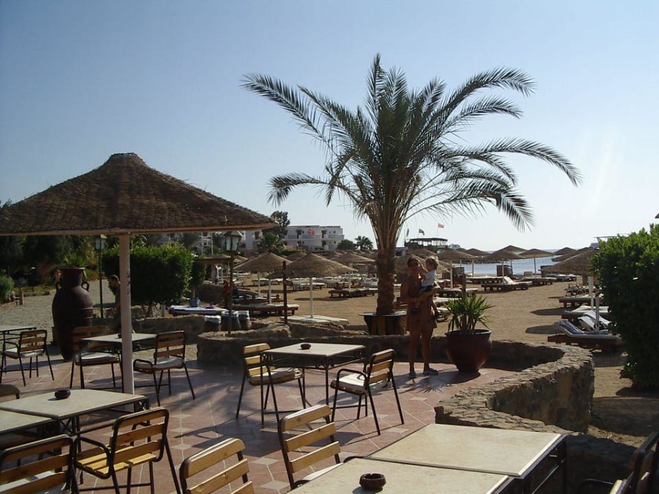 Strand von Hotelterrasse aus Eagles Paradise Abu Soma