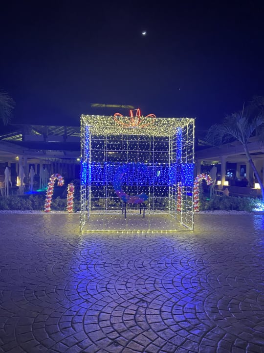 Pool Catalonia Punta Cana - All Inclusive