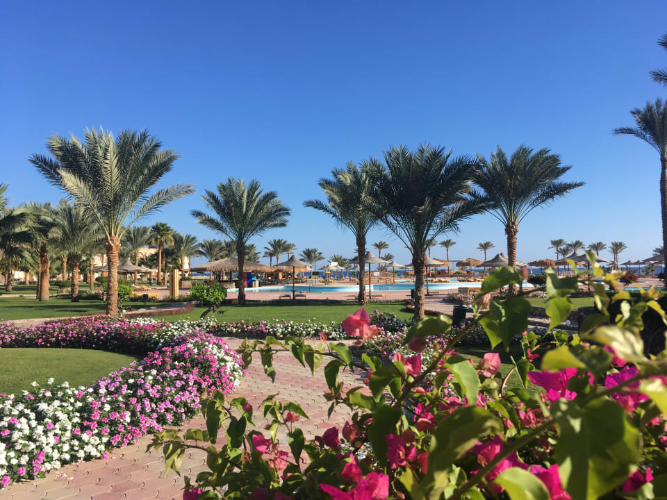 Gartenanlage Three Corners Sea Beach Resort