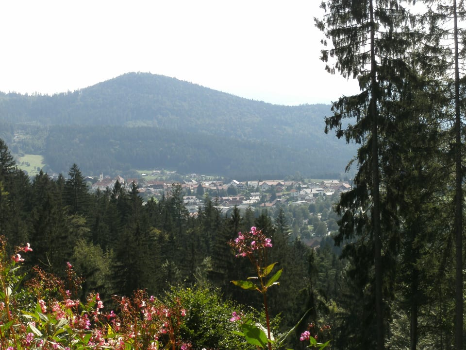 Ausblick Hotel Pension Anke