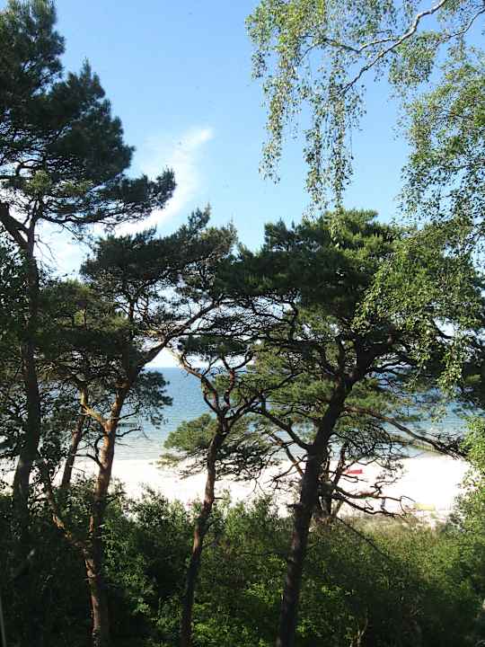 Widok z okien Ferienanlage Baltyk