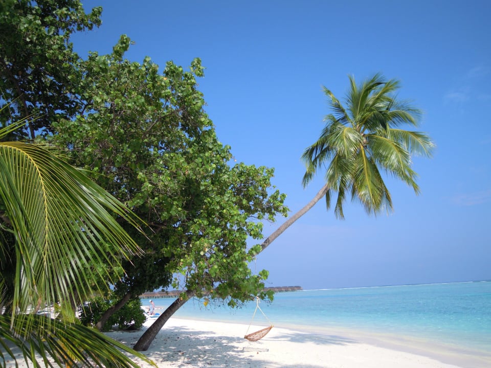 Wie auf einer Postkarte Meeru Maldives Resort Island