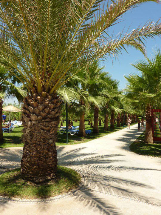 Palmengarten Miramare Queen Hotel