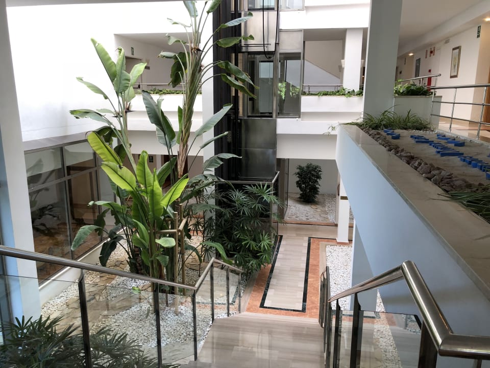 Lobby Grupotel Natura Playa