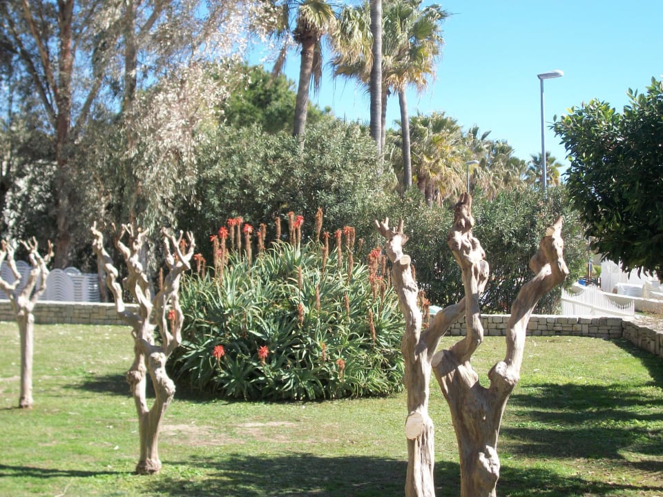 Am Strandcafe Melas Resort Hotel