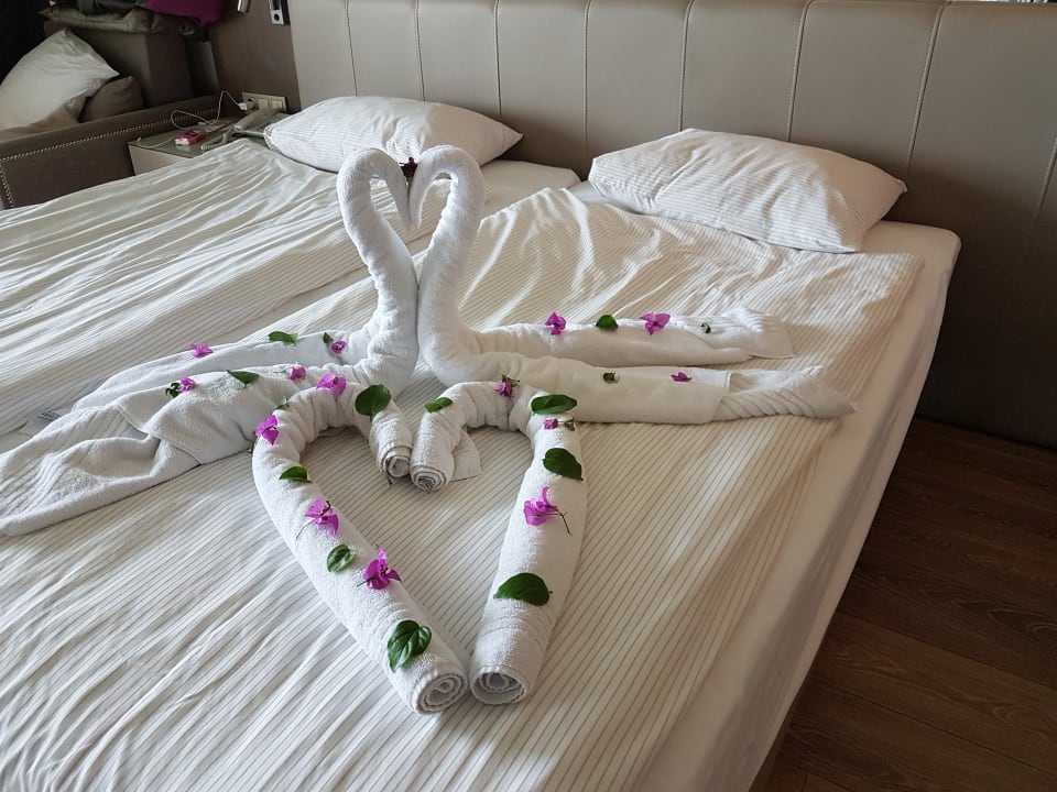 Zimmer Side Star Elegance