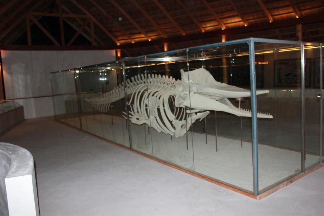 Ecocentre Kuramathi Maldives