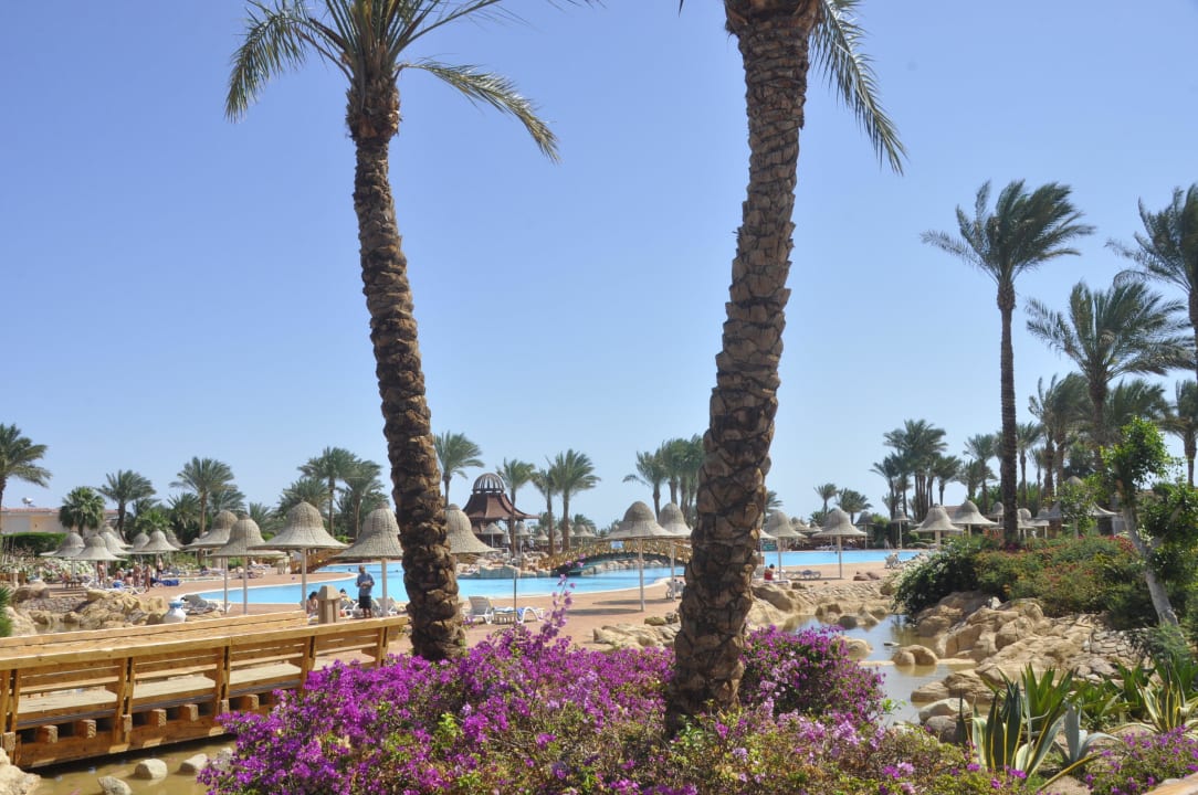 Landscape  Parrotel Beach Resort