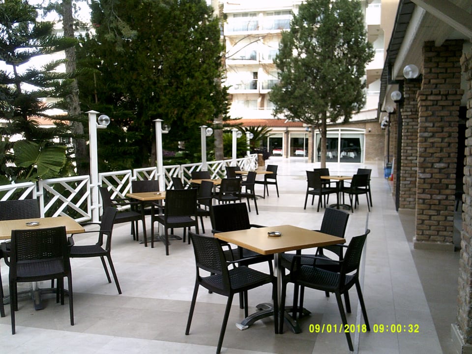 Gastro Seaden Corolla Hotel