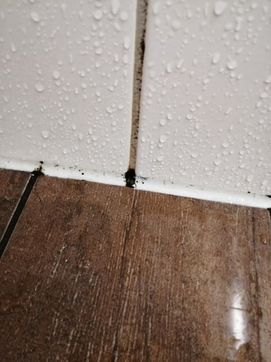 Zimmer frederics Berlin City Hackescher Markt