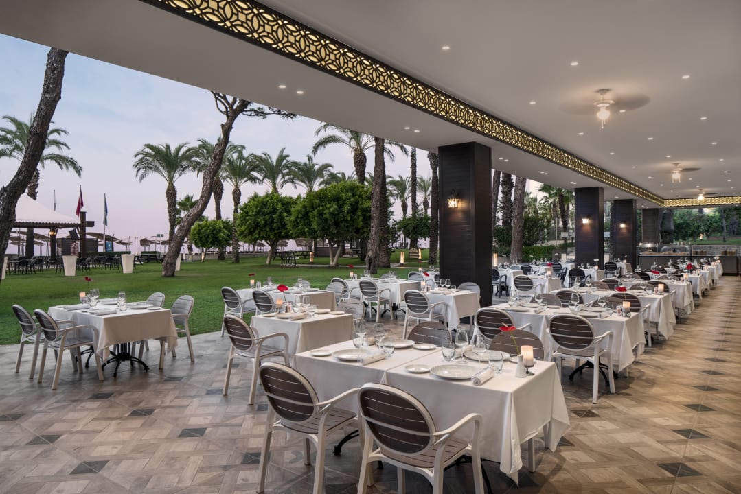 Gastro Papillon Ayscha