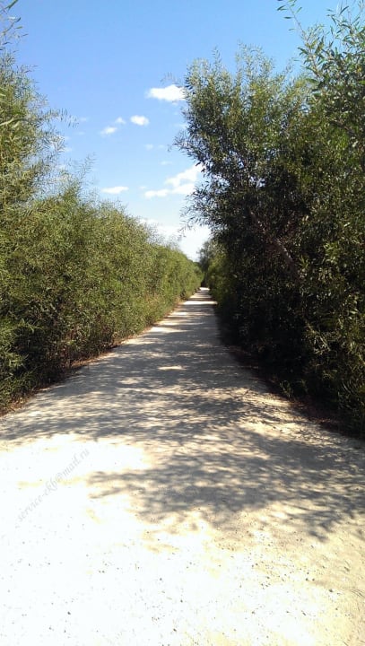 Footpath to the hotel Titanic Deluxe Golf Belek