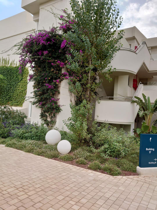 Gartenanlage Hipotels Mediterraneo Club