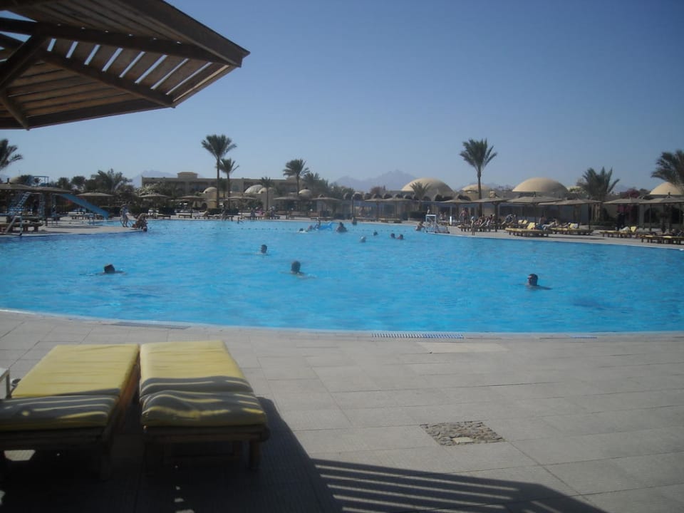 Desert Rose Resort Desert Rose