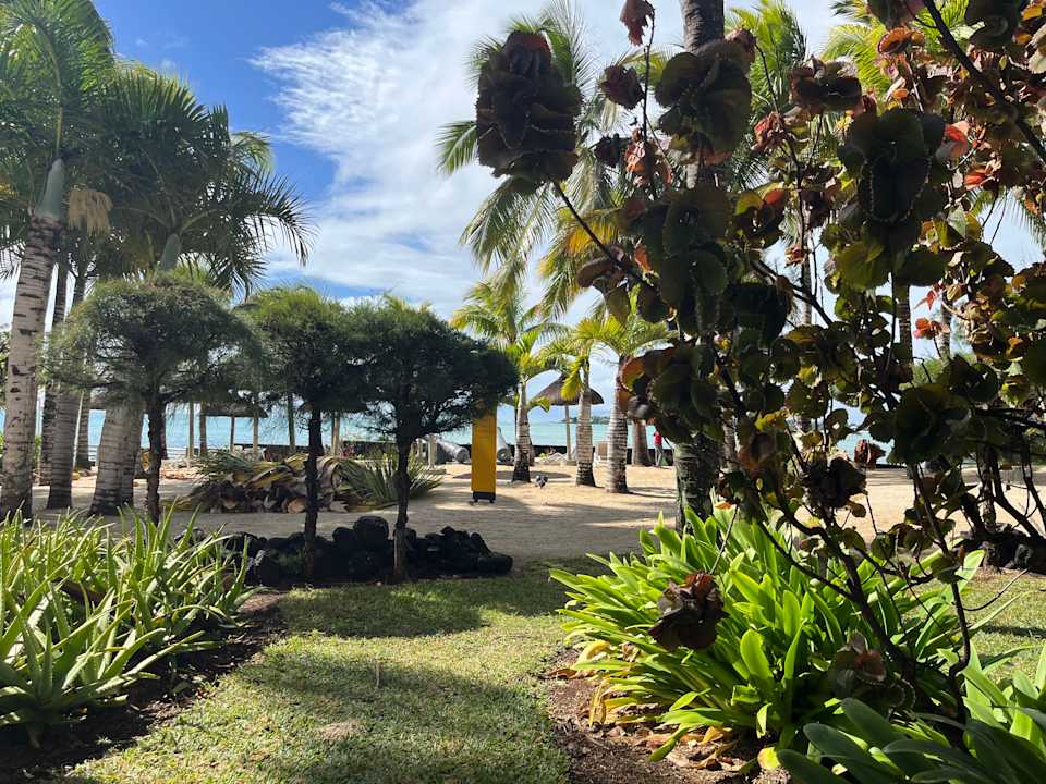 Ausblick Lagoon Attitude - Adults only