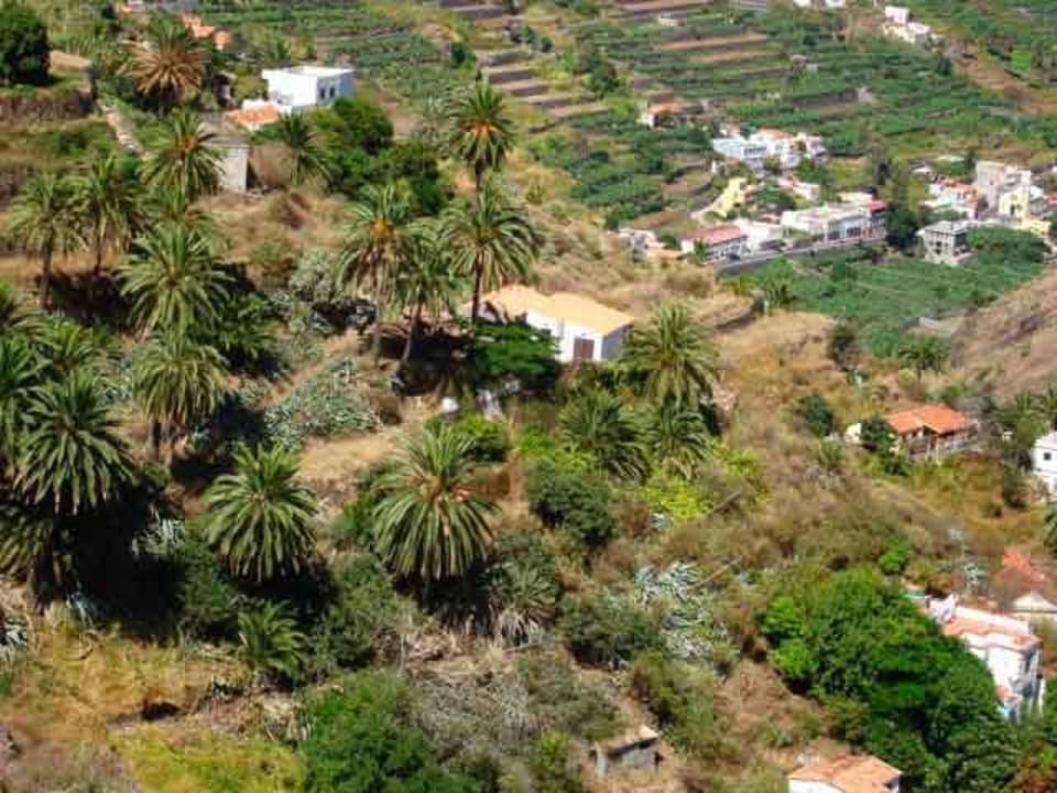 Vista lejana de la casa Casa Pajaritos