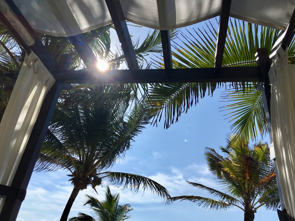 Gartenanlage Akumal Bay Beach & Wellness Resort