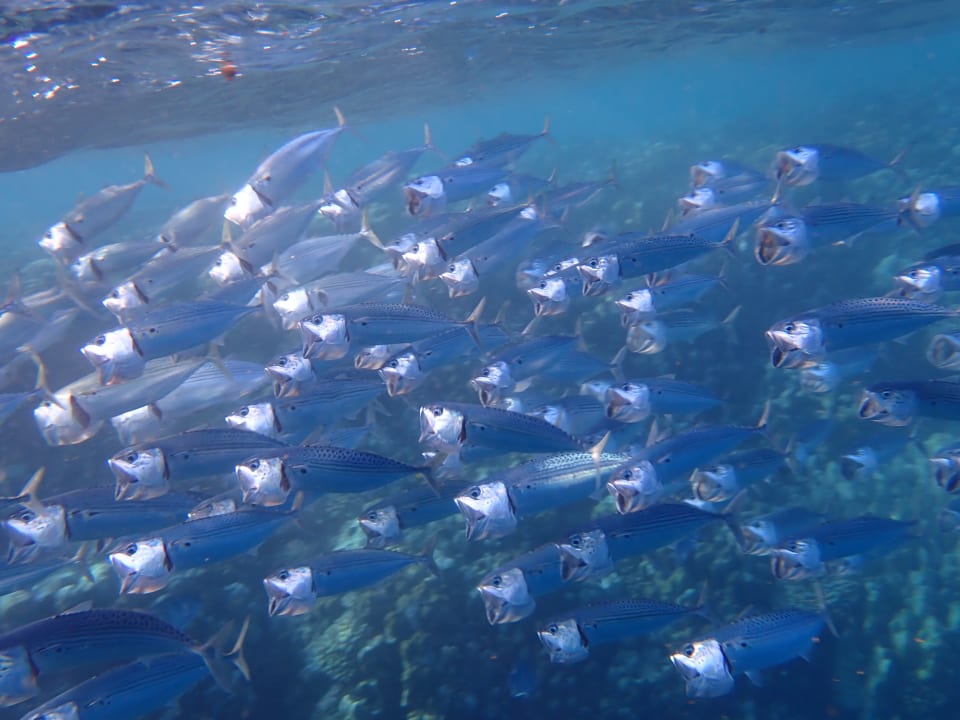 Sport & Freizeit Hotel Gorgonia Beach Resort