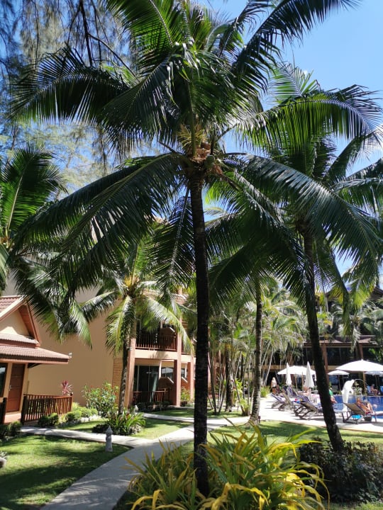 Gartenanlage Best Western Premier Bangtao Beach Resort & Spa
