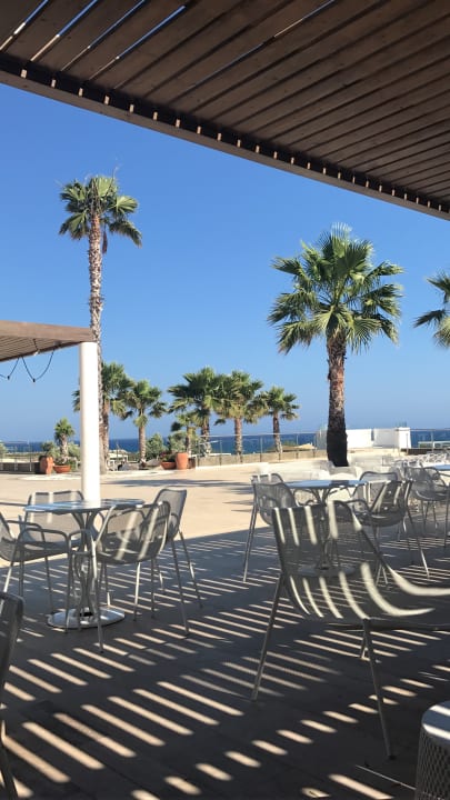 Gastro Atlantica Plimmiri