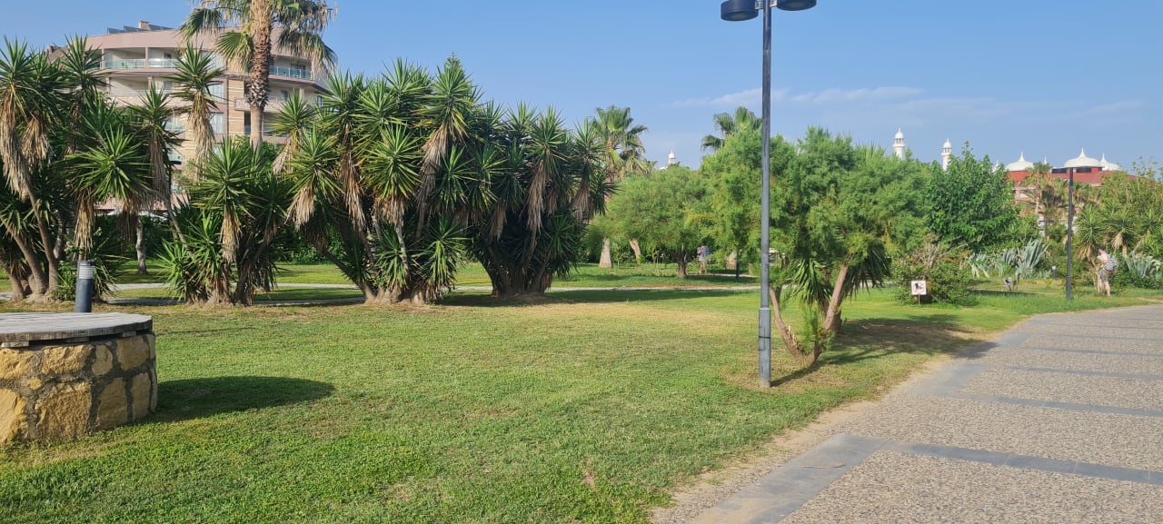Gartenanlage Hane Family Resort