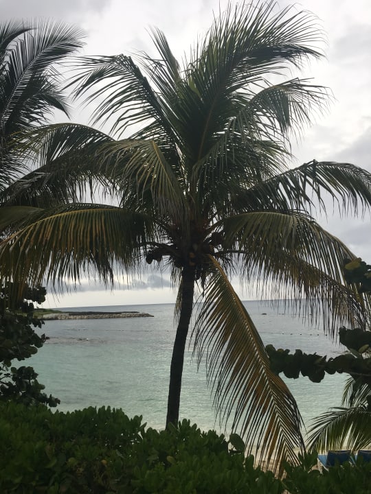 Außenansicht Grand Palladium Jamaica Resort & Spa