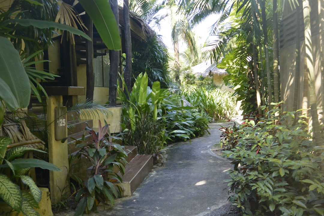 Weg zu den Bungalows Centara Koh Chang Tropicana Resort