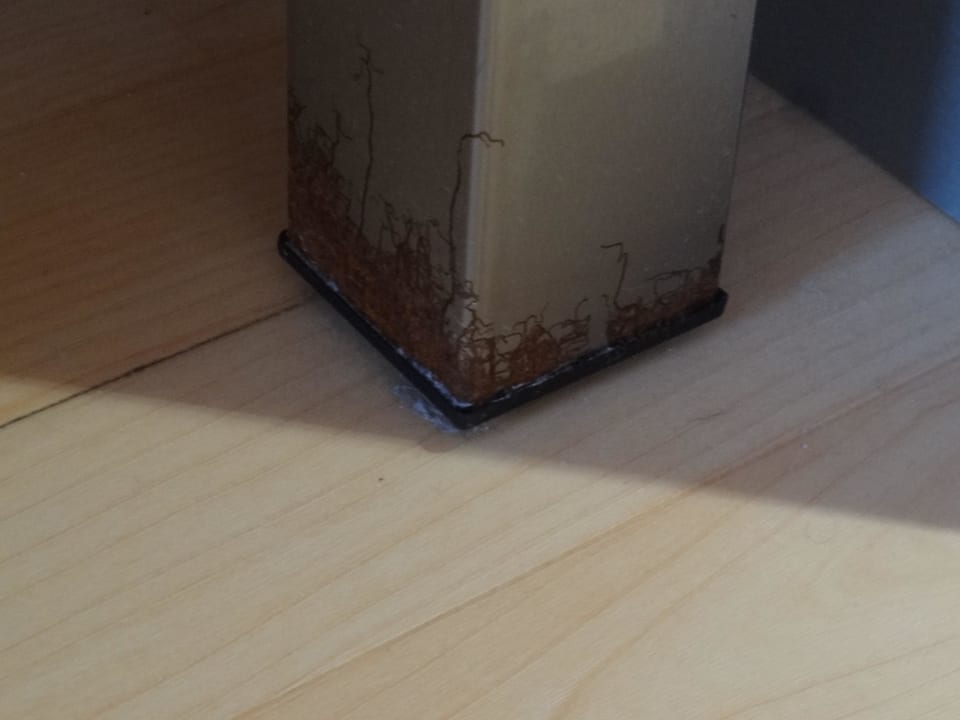 Einfach Dreck AKZENT Hotel Aufkirchen