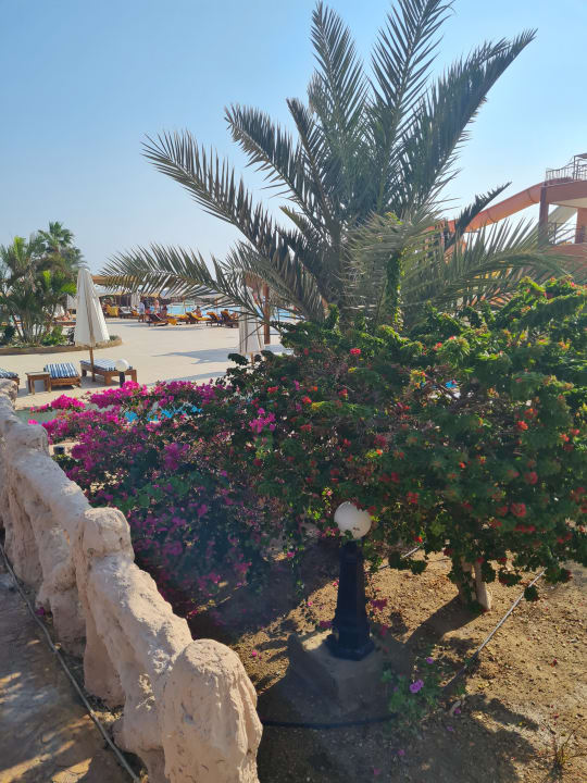 Gartenanlage Three Corners Happy Life Beach Resort