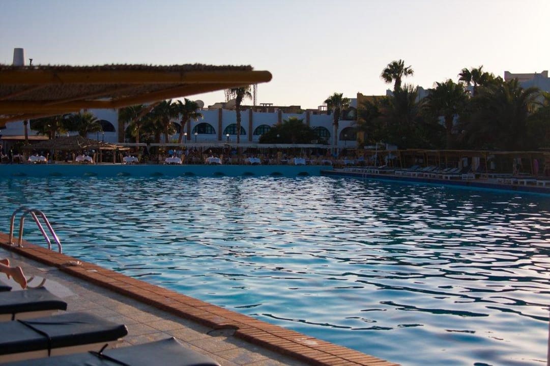 Poolanlage am Morgen Arabia Azur Resort