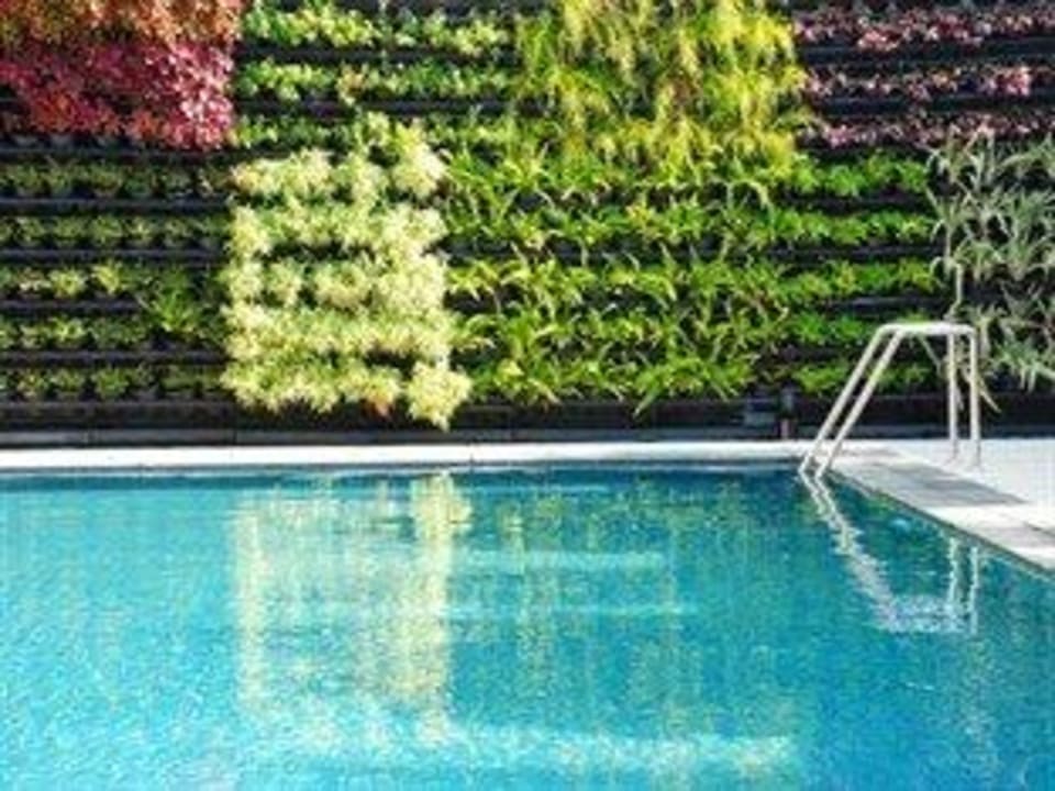 Garden Pool Hotel The Lantern Resort Patong