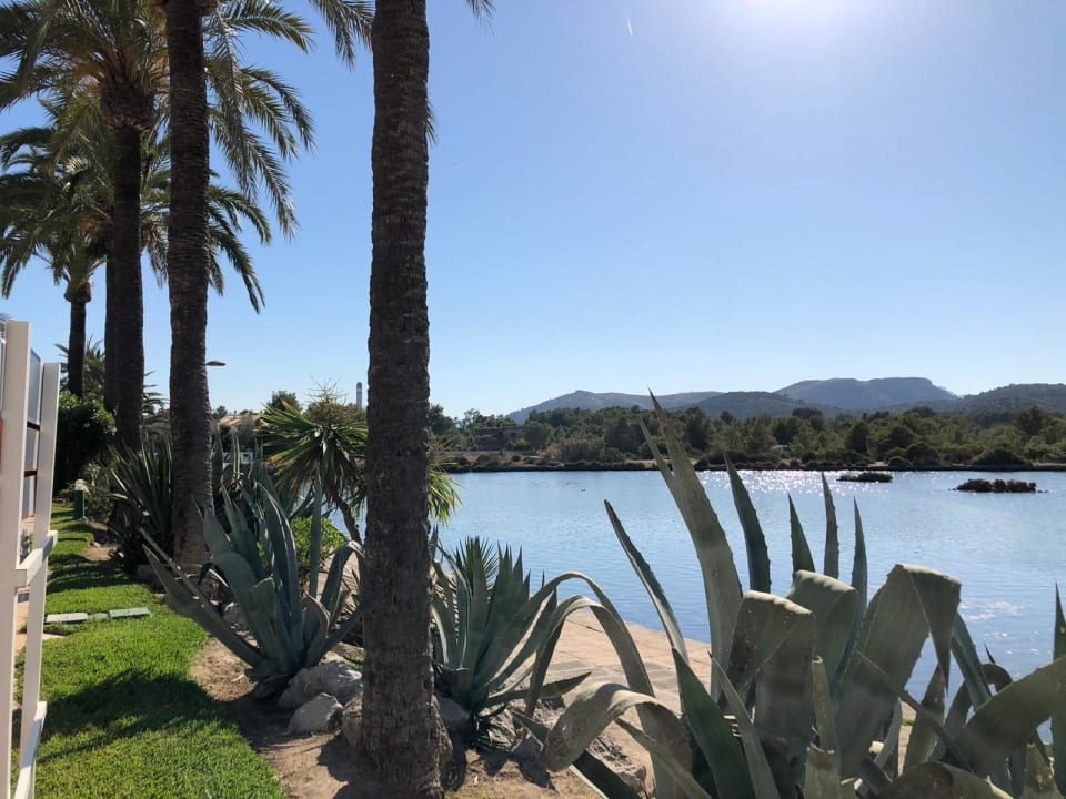 Gartenanlage VIVA Eden Lago