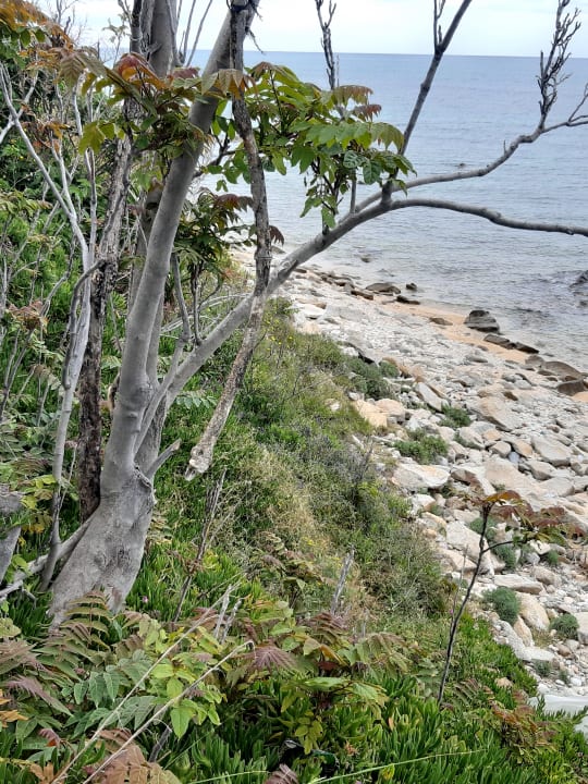 Strand Akrathos Beach Hotel