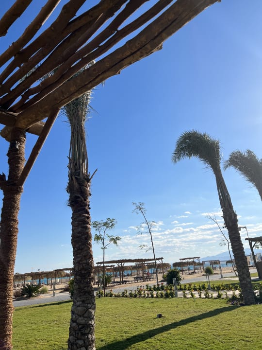 Ausblick Steigenberger Resort Ras Soma