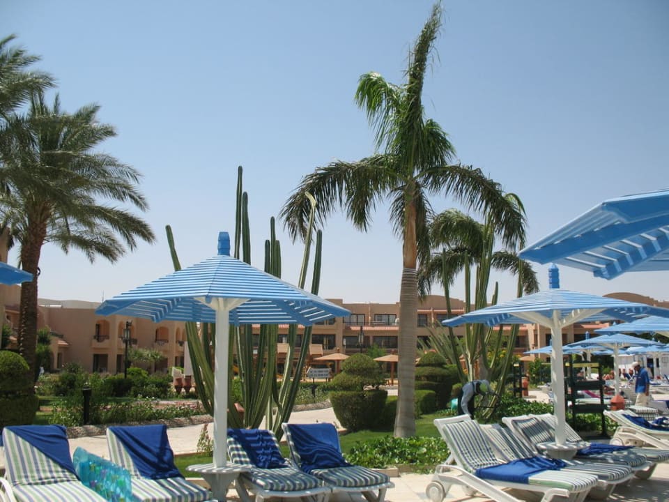 Leżaki i parasole przy basenie Ali Baba Palace Hotel