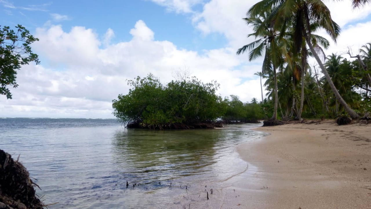 15 Minuten nach rechts. Mangroven Bahia Principe Grand El Portillo