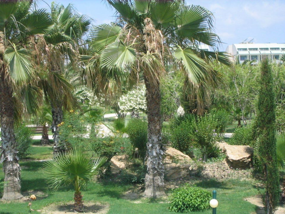 Gartenanlage VONRESORT Golden Coast