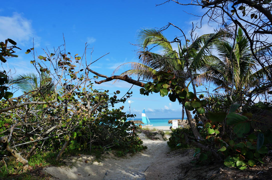 Weg zum Strand Melia Las Antillas - Adults only