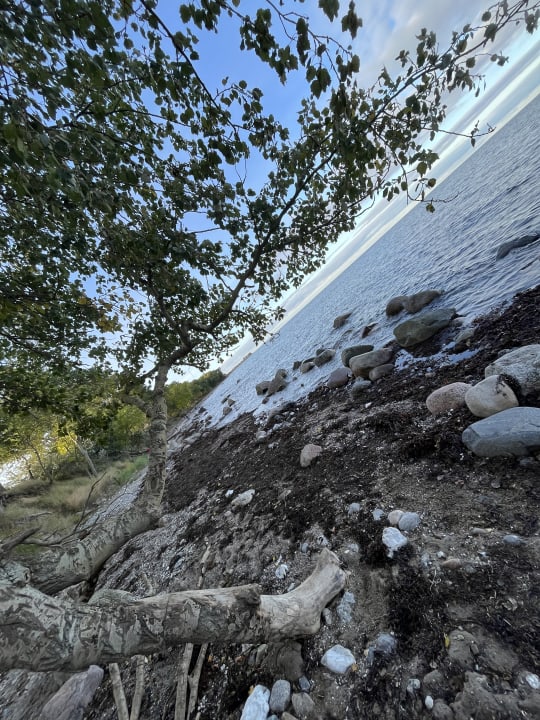 Strand Ferienbauernhof Liesenberg mit Meerblick