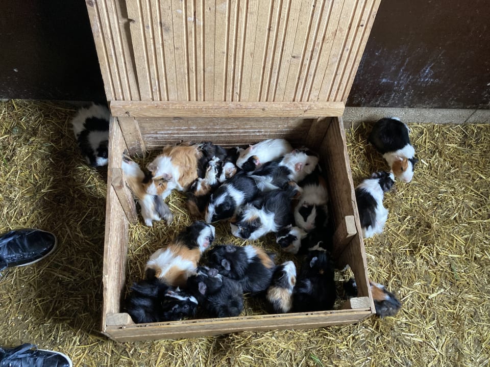 Sport & Freizeit Huberhof