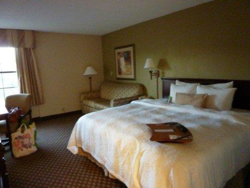 Einzelzimmer Holiday Inn Hotel & Suites Boston-Peabody